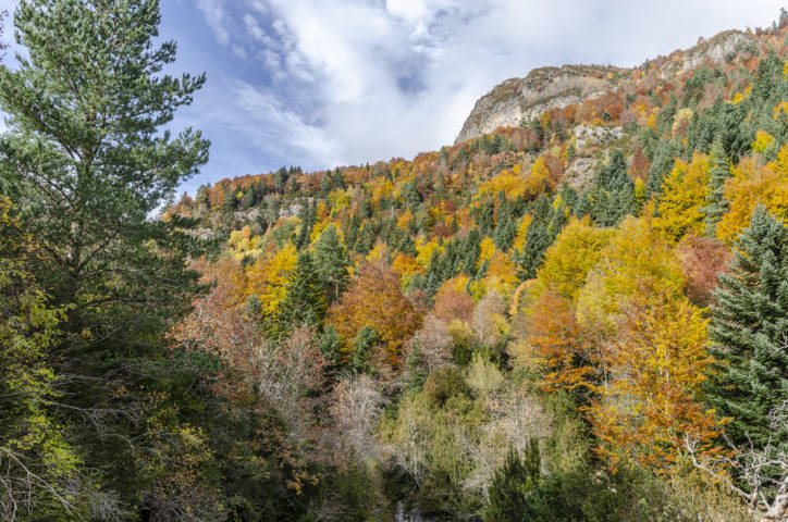 Huesca - valle de Bujaruelo 43.jpg